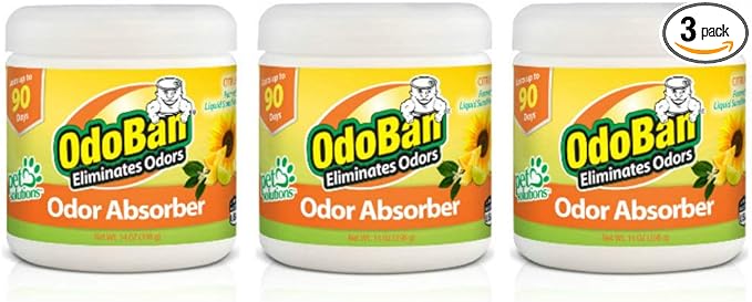 OdoBan Solid Odor Absorber Eliminator for Home and Small Spaces, Citrus Scent, 14 Ounces Each, 3-Pack