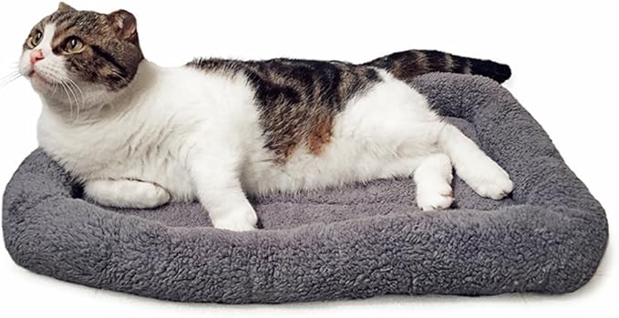 LESYPT Cat Bed 22" x 16" Non-Slip Pet Bed for Curled Sleep, Machine Washable Indoor Cat Mat for Crate Carrier Tree Windowsill, Size M