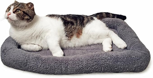 LESYPT Cat Bed 22" x 16" Non-Slip Pet Bed for Curled Sleep, Machine Washable Indoor Cat Mat for Crate Carrier Tree Windowsill, Size M
