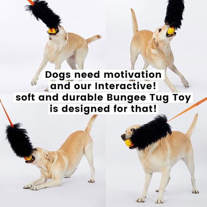 HOWGO Dog Rope Toy,Dog Bungee Chaser Toy 100% Sheepskin,Sheep Smell Tug Toy for All Breeds (Orange, with Rubber Ball)