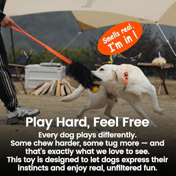 HOWGO Dog Rope Toy,Dog Bungee Chaser Toy 100% Sheepskin,Sheep Smell Tug Toy for All Breeds (Green, Short Without Ball)