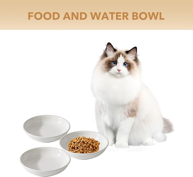 Ceramic Wide Whisker Friendly Cat Dishes, Set of 3 Ceramic Cat Bowls, Anti-Slip Indoor Kitten Feeding Food& Water Dish to Prevent Whisker Fatigue(3 Pcs, White)