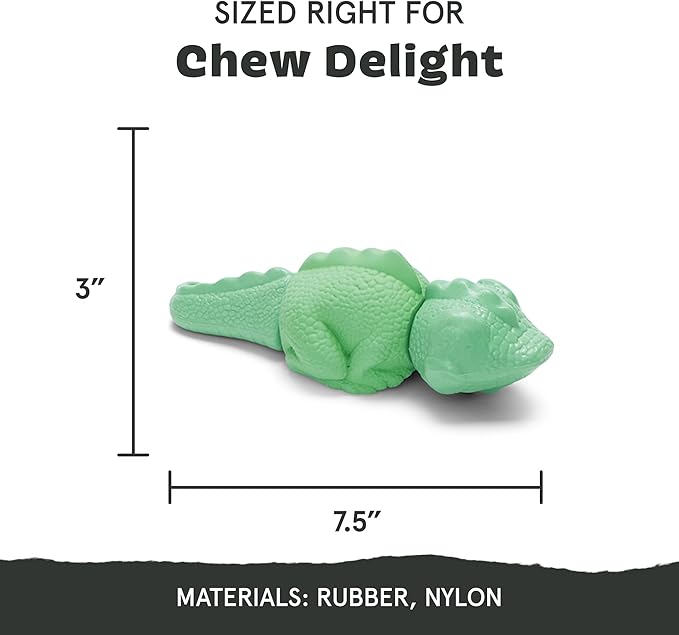 Barkbox Super Chewer Tough Dog Chew Toys for Aggressive Chewers, Dental Stimulating (Iguana - Large)