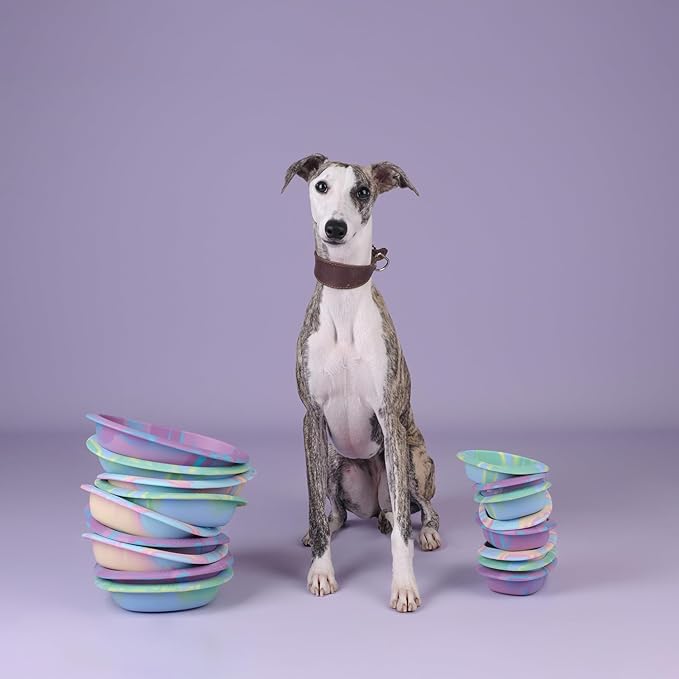 CHEWFFON Interactive Dog&Cat Lick Mat Bowls, BPA-Free Silicone Dog Slow Feeder Bowl with Suction Cups, Non Slip Food Bowl for Dogs and Cats, Reduces Boredom and Anxiety, Dishwasher Safe, Green