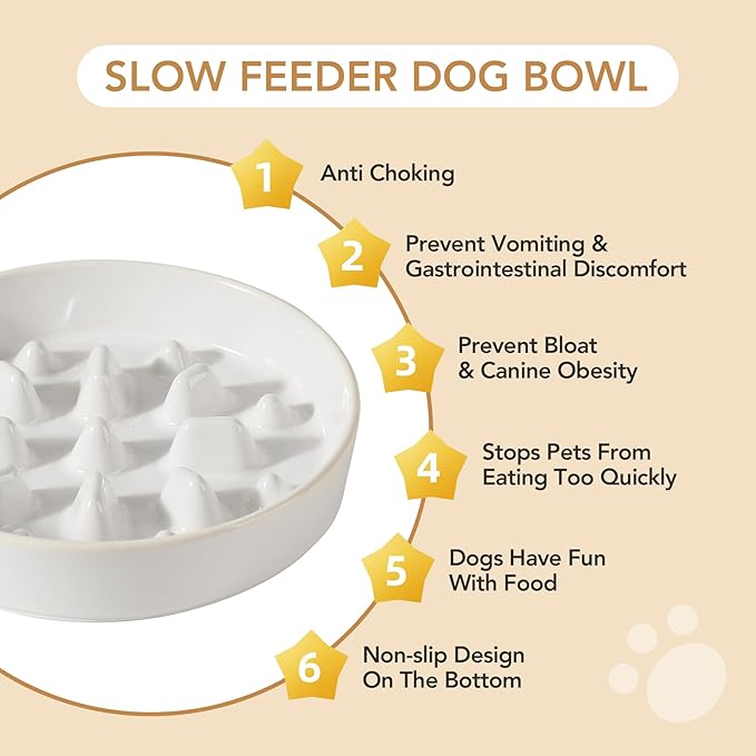 Ceramic 1.6 Cup Raised Slow Feeder Dog Bowl Set, Elevated 7.3inch Bowl and 8.2inch Slow Feeder Dish with Acacia Wood Stand for Medium and Large Dogs (2 x Reactived Glaze -White+ Stand)