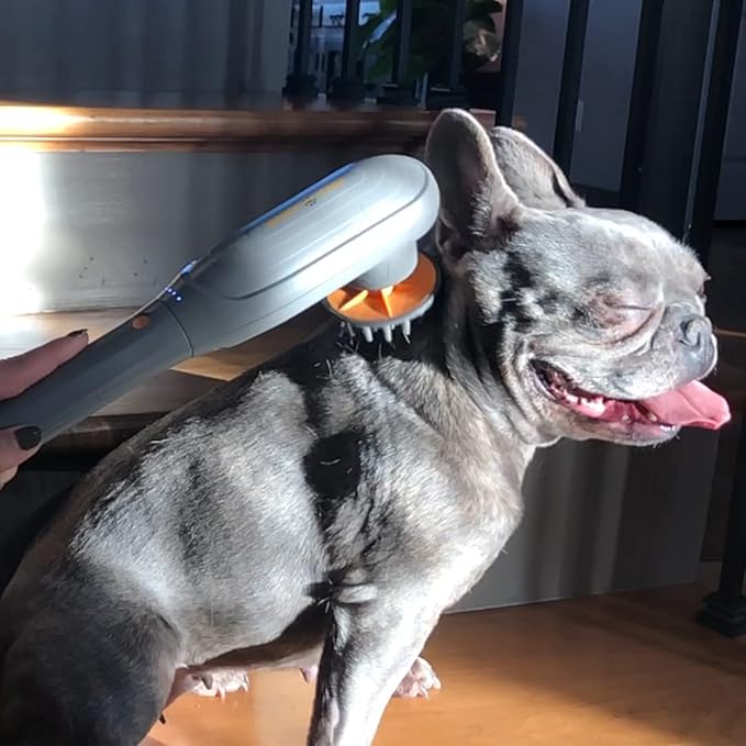 PERK Percussion Pet Massager for Dogs and Cats Designed to Help Massage Muscle Tightness, Improve Mobility and Recovery