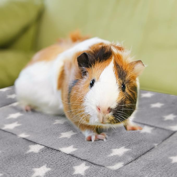 Tierecare 3PCS Guinea Pig Bed Soft Rabbit Bedding Cage Liner Warm Bunny Mats Pee Pads Fleece Blanket Plush Hamster Sleep Beds Ferret Squirrel Hedgehog Rat