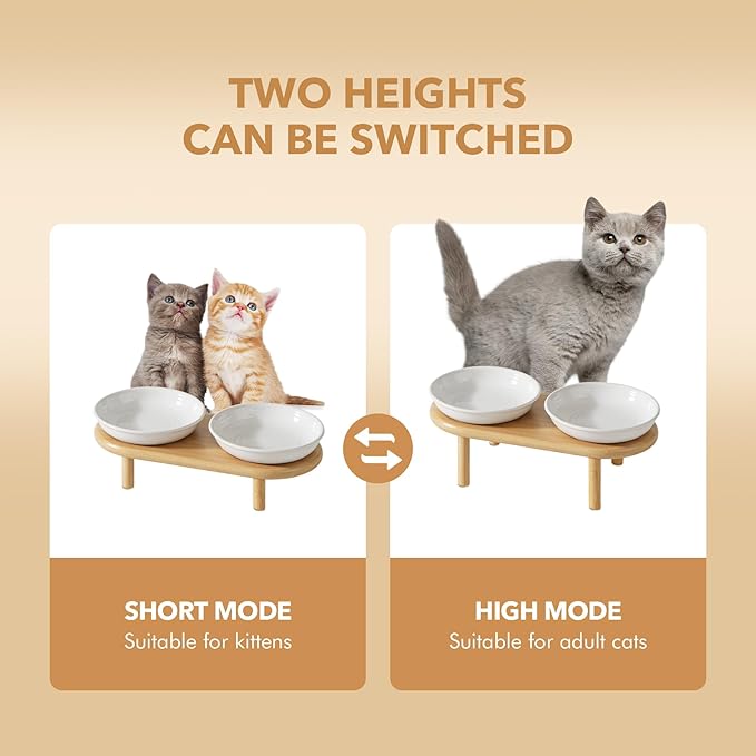 Elevated Ceramic Cat Dish, Wide Whisker Friendly Anti-Slip Food & Water Bowl with 2 Heights Adjustable Stand - Pet Bowl Set for Cats (2 Dishes +Stand, White)