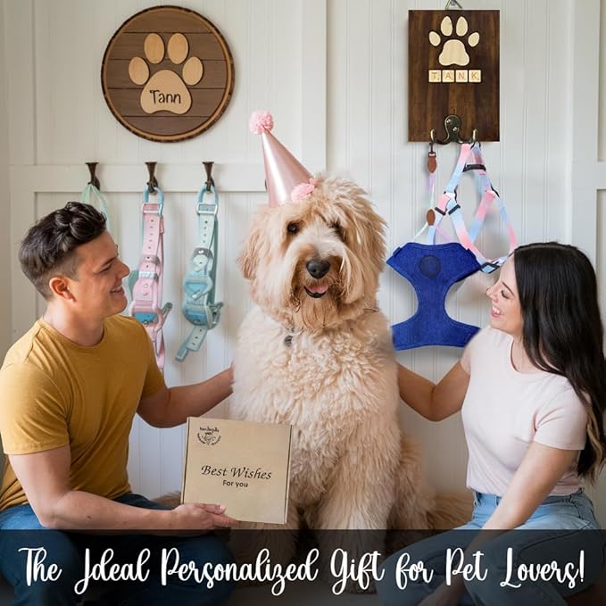 Personalized Dog Leash Holder Wall Mount, Pet Harness Hanger with Scrabble Letters, Dog Collar Organizer for Entryway, Memorial Cat Leash Holder for Wall, Pet Loss Gifts, Keepsake, Home Decor