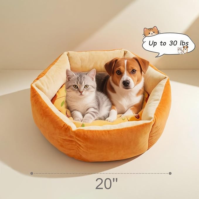 Cute Cat Beds Kitten Beds with Catnip Toys, Soft Small Dog Beds, Washable Pet Beds for Puppy and Kitty, Funny Pizza Shape, 20 Inch