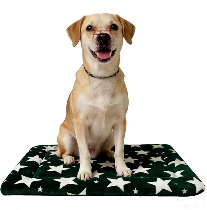 Fogkiss Dog Bed Mat, Reversible Crate Pad & Durable Dog Bed - Machine Washable Kennel Mat with Ultra Soft for Large Dogs (Big&Small Stars Green, 35" L*23" W*1.5" Th)
