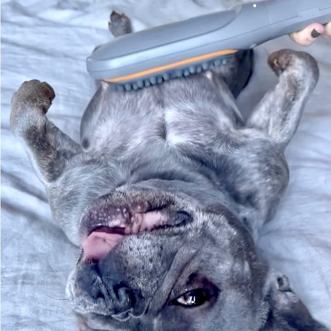 Buzz Therapeutic Brush Vibration Pet Massager for Dogs and Cats Designed to Help Soothe Tension, Increase Circulation and Relieve Tight Muscles