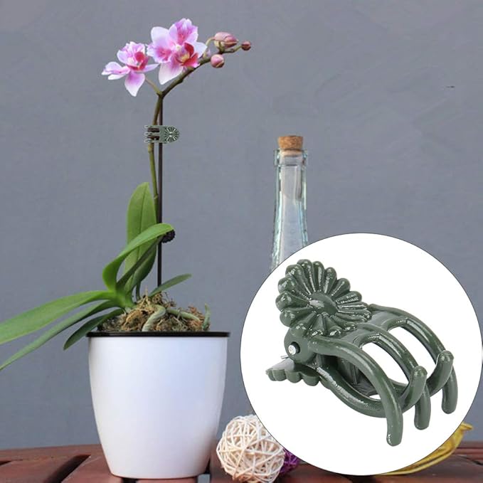 100 Pcs Stem Clip, Chrysanthemum Shape Plant Clips Flower Stems Fixing Support Orchid Clips for Courtyard Greenhouse Planting(There is a Thimble of)