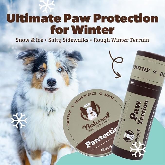 Natural Dog Company PawTection Balm 1 oz Tin – Dog Paw Protection with Shea Butter & Calendula – Shields Paws from Snow, Ice, Salt, Hot Pavement & Rough Terrain – Lick-Safe, All Breeds
