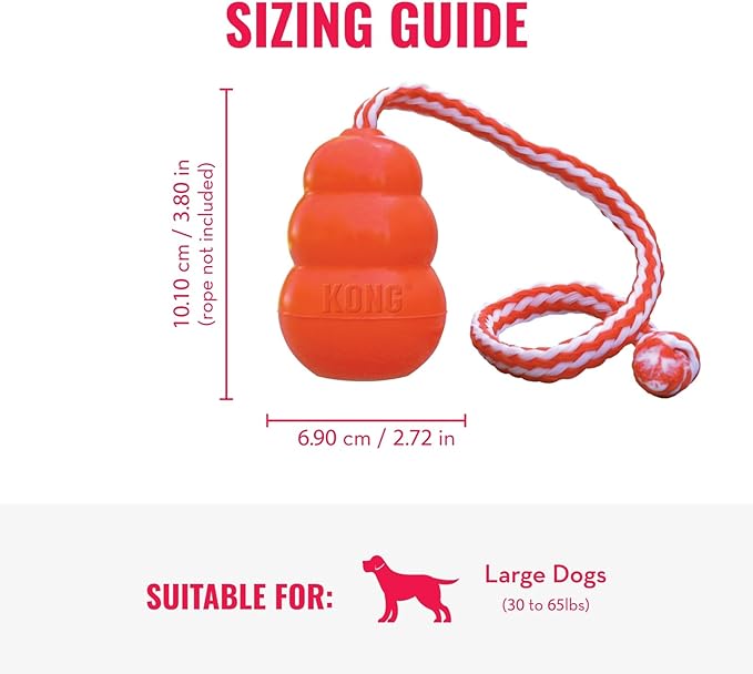 KONG Aqua Floating Fetch Toy - Dog Floating Toy for Water Retrieval, Play, Exercise & More - Natural Rubber Dog Toy with Foam Interior & Rope for Farther Throwing - Orange, for Large Dogs