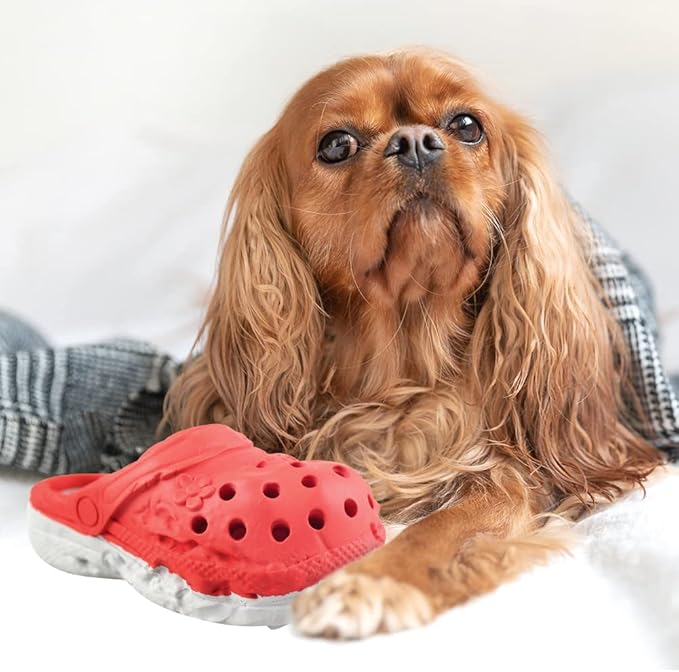 Dog Chew Toys,Durable Rubber Slipper Toy for Puppy,Dog Tough Toys for Pet Training and Cleaning Teeth,Interactive Puppy Toys Aggressive Chewers Small Meduium Breed