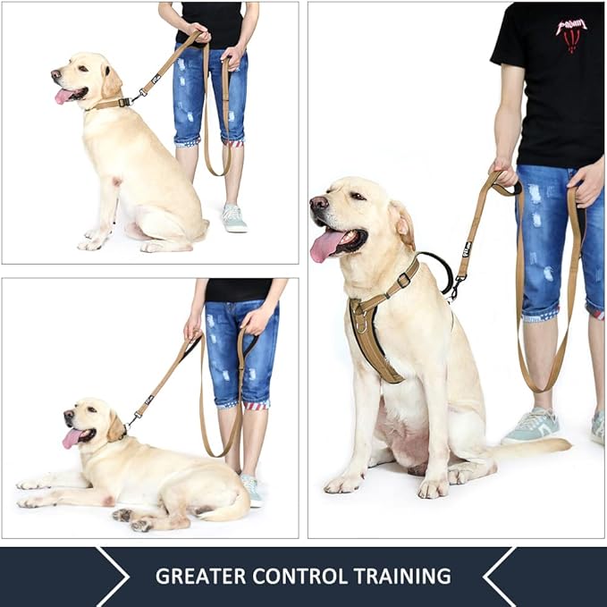Plutus Pet Double Handle Dog Leash 4ft, Heavy Duty, Reflective Dual Handle Dog Leash for Safety Training, for Medium Large Dogs,2 Handle Leads(Brown)