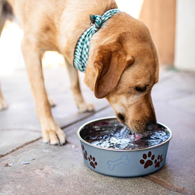 Loving Pets Bella Dog Bowls- Stainless Steel Dog & Cat Bowls - Spill Proof Dog Food Bowl, Cat Bowl, Puppy Essentials & Pet Supplies Great for Home & Travel (X-Large 65-100lbs, Blueberry)