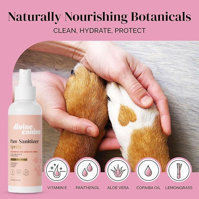 Dog Paw Cleaner - Alcohol Free Paw Cleansing Spray - Made with Coconut, Aloe, Copaiba Oil, and Lemongrass Oil to Nourish and Clean Paws - Made in The USA (Rosewater 2 Oz)