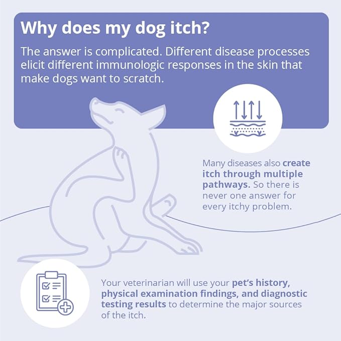 MiconaHex+Triz Shampoo for Dogs, Cats and Horses, 8 oz