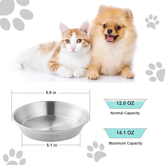 Wellbro Cat Food Bowls, 2 Pcs Stainless Steel Cat Food and Water Bowls, Whisker Fatigue Shallow Cat Dishes, Small Dog Puppies Fat Faced Cat Kitten Supplies