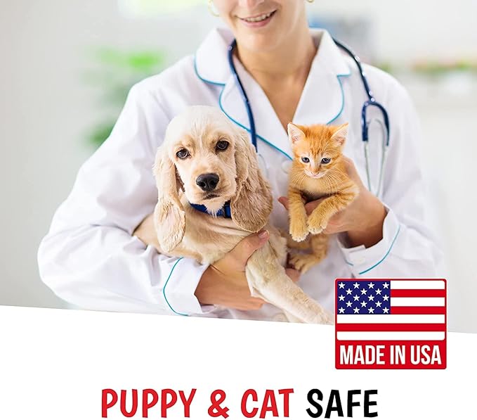 Warren London 10-in-1 After Bath Dog Spray | Dog Leave in Conditioner and Detangler | Pet Grooming Spray with Aloe Vera, Silk Amino Acids and Green Tea Extract | Made in USA | 1gal