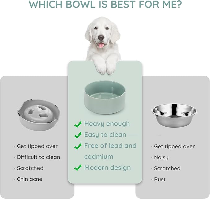 SPUNKYJUNKY 28.7OZ Ceramic Dog and Cat Bowl, Modern Cute Weighted Food Water Bowl for Replacement Morandi Green (2 Pack)