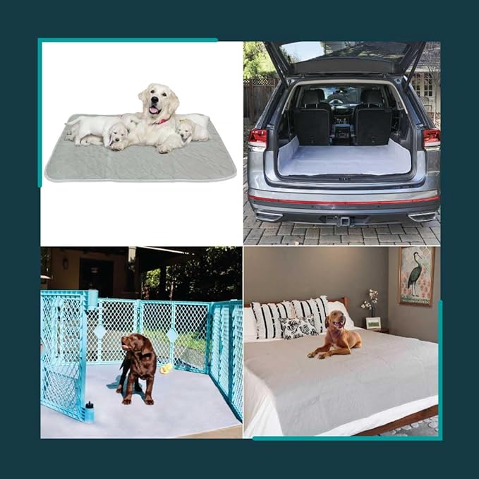 rocket & rex Premium XL Non-Slip Washable Pee Pad for Dogs, Waterproof & Reusable Puppy Pad for Potty Training, Whelping, Travel, Lining Playpens & More, 60" x 60" (Pack of 1)