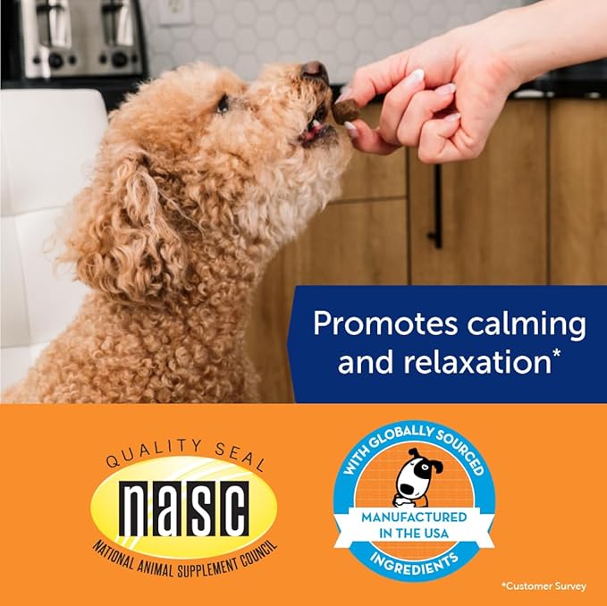 ThunderBites Dog Calming Chews, Thiamine, L-Tryptophan, Melatonin and Ginger, Can Help Relieve Stress from Separation, Storms, Fireworks & Travel (180 Count), formerly ThunderWunders