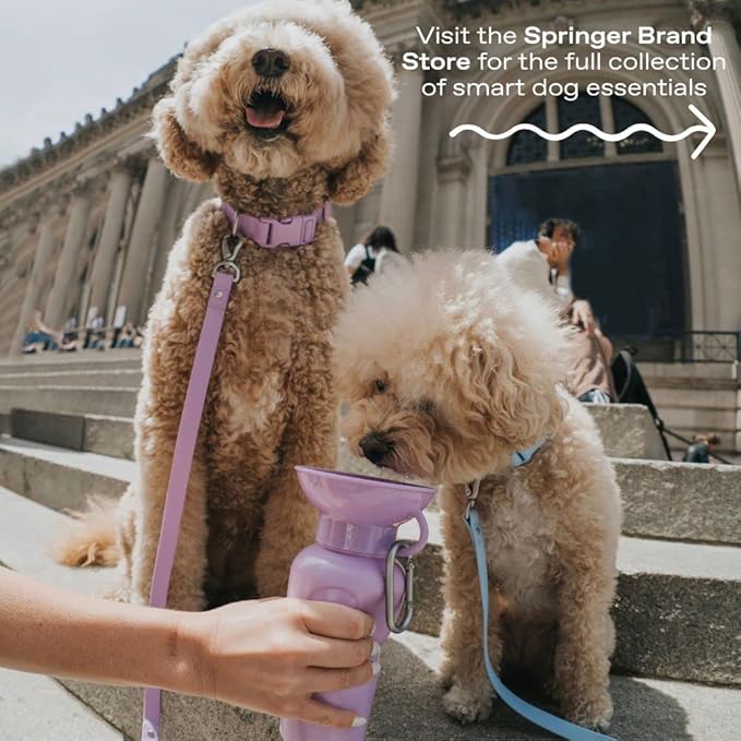 Springer by Springland Dog Water Bottle | Portable Travel Water Bottle Dispenser for Dogs | Dog Gift Seen on Oprah's Favorite Things, Shark Tank | Leak-Proof Bottles | BPA-Free 15oz Sky Blue