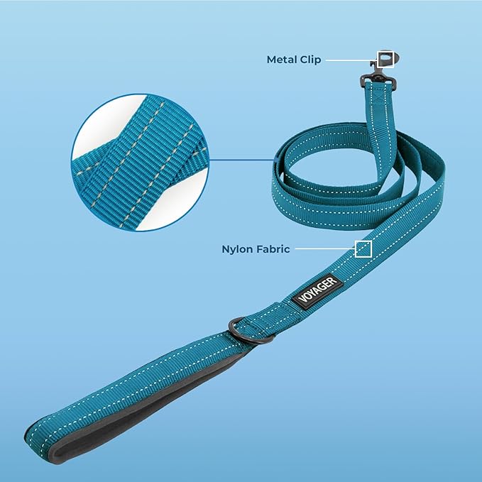 Best Pet Supplies Voyager Reflective Dog Leash or Collar with Neoprene Handle, for Small, Medium, and Large Breed Puppies, Cute and Heavy Duty for Walking, Running and Training - Turquoise (Leash), L