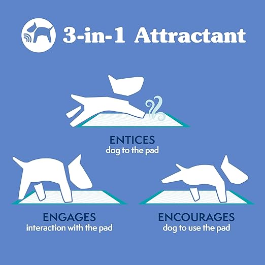 Simple Solution Puppy Training Pads – Large Leak-Proof Potty Pads for Dogs – Disposable with Odor Control and Absorbent Core for Floor Protection – 23 x 24 Inches – 100 Count