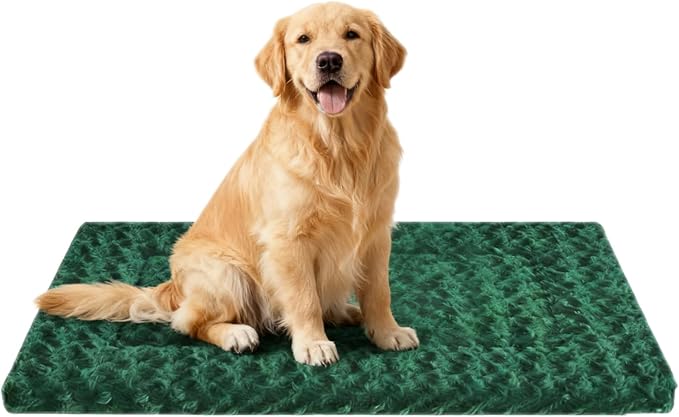 Dog Crate Bed Pad – Reversible Fleece Mat for Small, Medium, Large Dogs – Soft & Washable Anti-Slip Dog Bed Mat for Cages and Kennels – Comfortable, Durable Sleeping Pad for Dogs, Green, L
