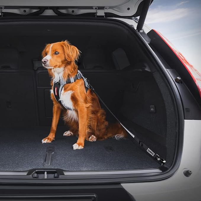 EzyDog Click ISOFIX Standard - Dog Seat Belt Car Harness Attachment for Dogs - Adjustable Dog Restraints Seatbelts for Car Travel and Safety - (17in - 26in, Black)