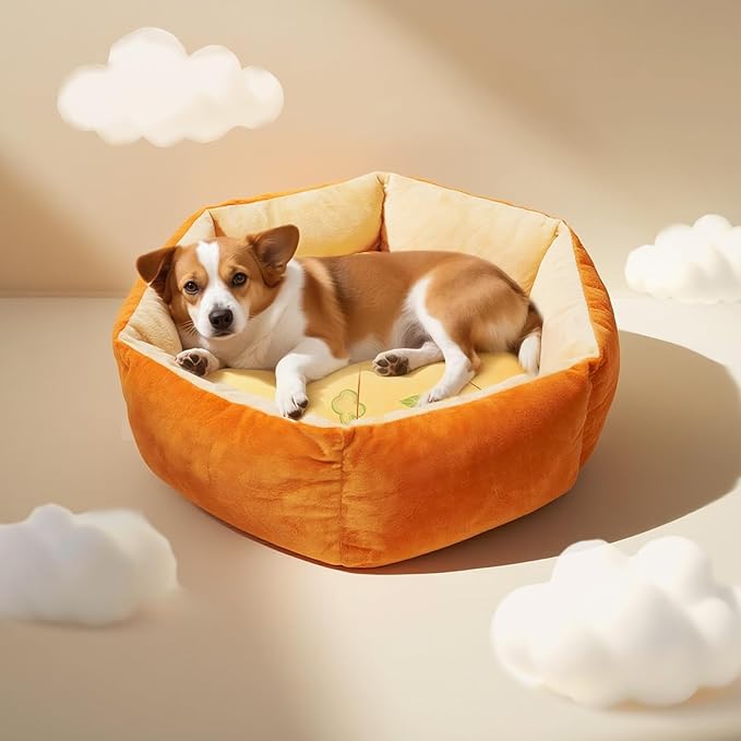 Cute Cat Beds Kitten Beds with Catnip Toys, Soft Small Dog Beds, Washable Pet Beds for Puppy and Kitty, Funny Pizza Shape, 20 Inch