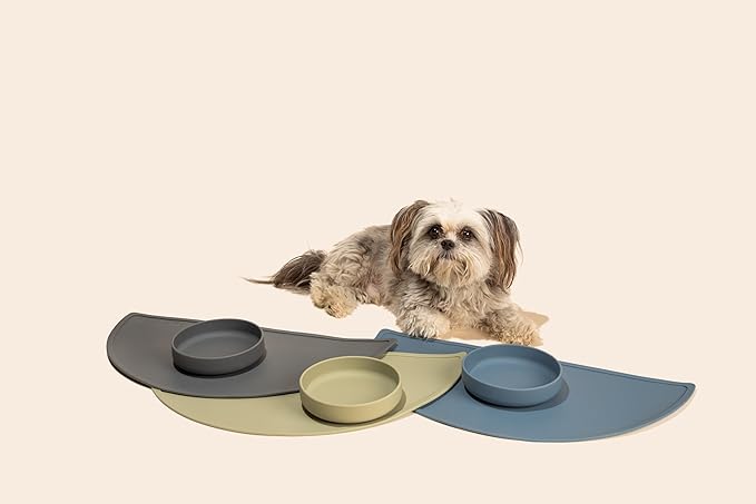 Should We Go? Dog Water Bowl - The Perfect Dish No-Spill, Less Mess Non-Tippable Water & Food Bowl, Silicone with Suction Cup, Fits 2 Cups 6” Across x 1.25” Tall, Ideal for All Pets, Small-Terracotta