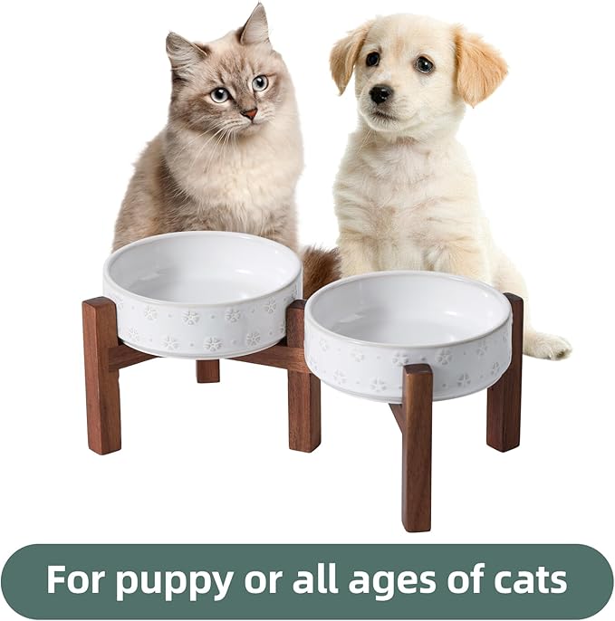 6.1inch Ceramic Raised Double Bowls Set with Acacia Wood Stand, 2 Heights Elevated, Food & Water Bowls for Toy Breed Dogs, Kitty, Cats, Pet Bowl(13.5OZ, Arctic White)