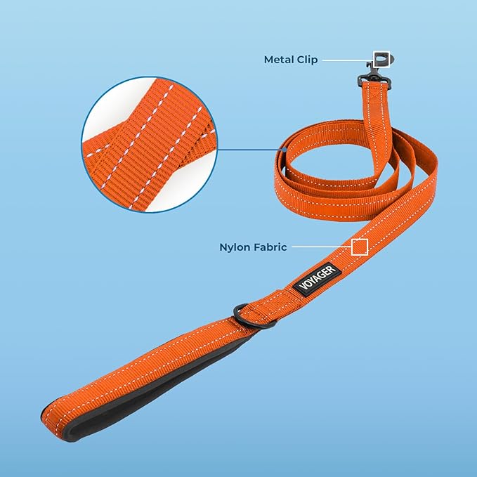 Best Pet Supplies Voyager Reflective Dog Leash or Collar with Neoprene Handle, for Small, Medium, and Large Breed Puppies, Cute and Heavy Duty for Walking, Running and Training - Orange (Leash), M