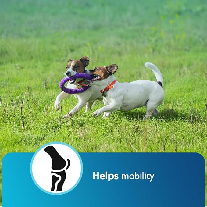 iHeartDogs Hemp Calming & Mobility Chews for Dogs - Dog Anxiety Relief Bites with Hemp - Bacon Flavored Dog Calming Treats for Anxiety, Stress, & Joint Movement