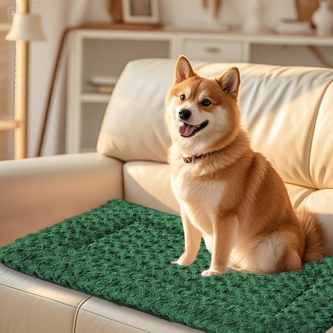 Dog Crate Bed Pad – Reversible Fleece Mat for Small, Medium, Large Dogs – Soft & Washable Anti-Slip Dog Bed Mat for Cages and Kennels – Comfortable, Durable Sleeping Pad for Dogs, Green, L