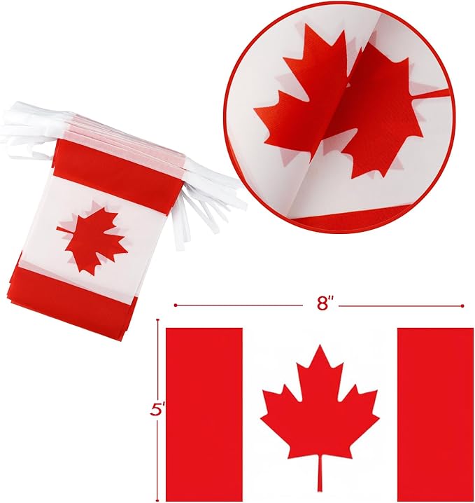 Canada String Flag Pennant Banner - 38 Flags, 42 Feet Small Mini Canadian Flags Bunting Banner for Country Decoration, School, Party, Sports Events