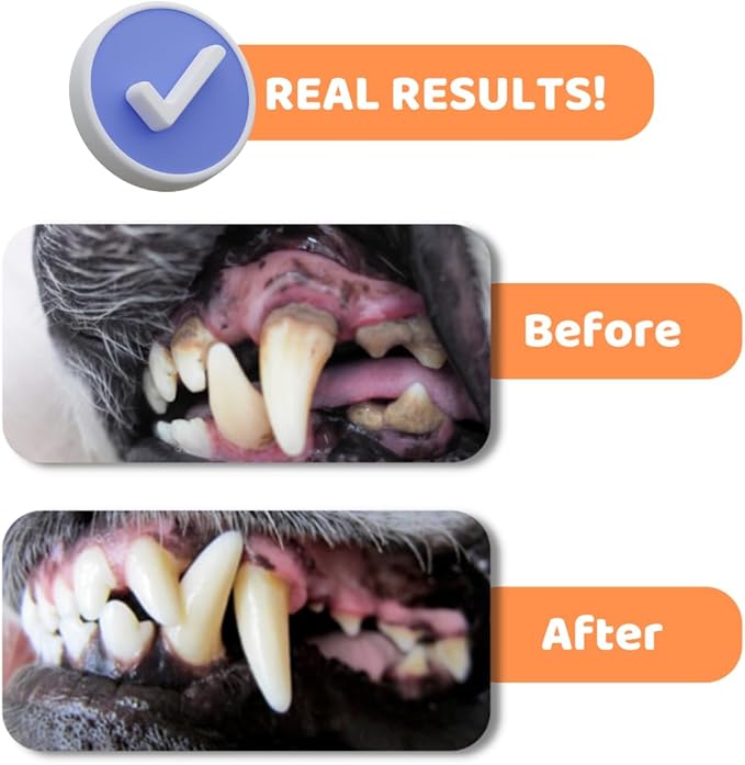 Dog Toothbrush with Toothpaste | Approved Dog Dental Kit | One Triple Headed Deep Cleaning Toothbrush for Dogs-Two 100% Natural Toothpaste(90g Each)-Two Finger Brushes | Freshen Breathe Remove Plaque