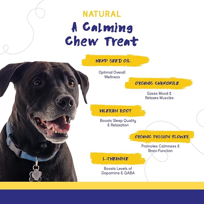 PupGrade Calming Soft Chews - Promotes Relaxation & Helps Manage Stress for All Dogs - Supports Calm Stomachs & Muscles - No Wheat, Corn, or Artificial Ingredients - Meat Flavored - 360 Soft Chews