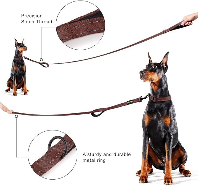 Plutus Pet Double Handle Dog Leash 6ft, Heavy Duty, Reflective Dual Handle Dog Leash for Safety Training, for Medium Large Dogs,2 Handle Leads, Chocolate