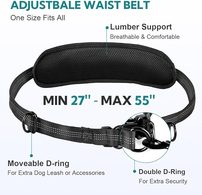 Hands Free Dog Leash with Pouch, Retractable Bungee with Double Padded Handles, Dog Leashes with Bungee for Medium & Large Puppy