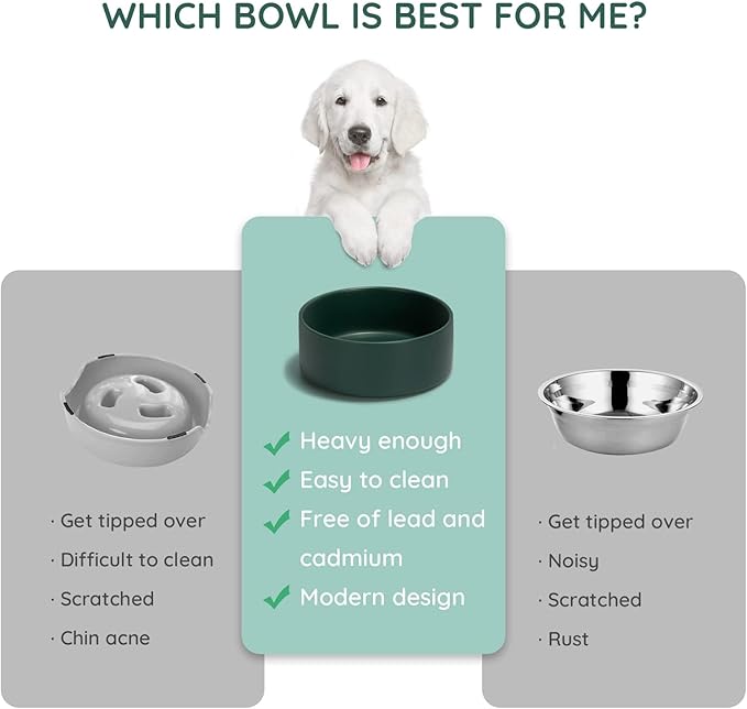 SPUNKYJUNKY 60OZ Ceramic Dog and Cat Bowl, Modern Cute Weighted Food Water Bowl for Replacement Green (2 Pack)