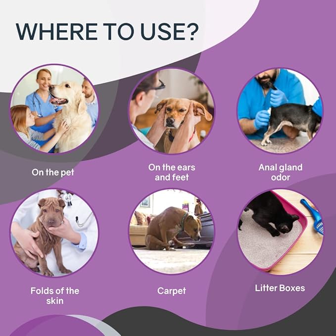 Odorcide Animal Odor Eliminator Refill ⧿ Ready to Use Pet Odor Eliminator for Strong Odor ⧿ Secretions, Spray, Feces & Urine Odor Eliminator ⧿ Safe, Non-Enzymatic Dog & Cat Odor Eliminator (128 oz)