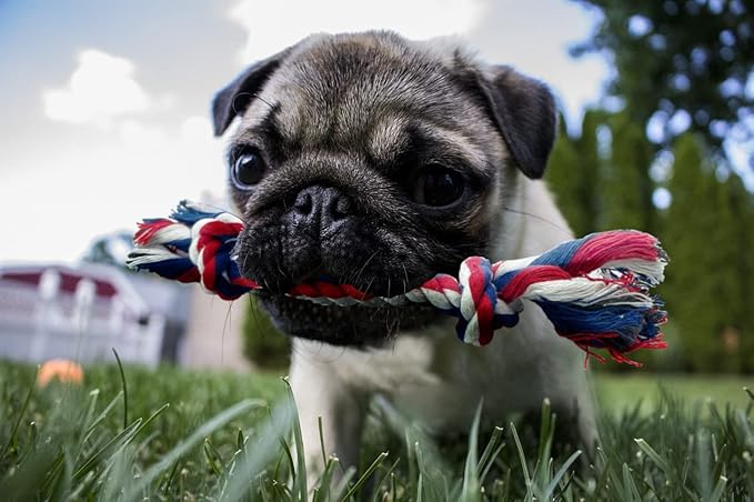 Small Dog and Puppy Knotted Rope Chew Toy - Extra Small Size 6"
