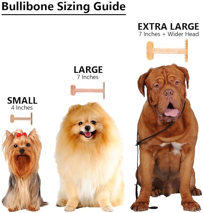 Bullibone Nylon Dog Chew Toy for Aggressive Chewers - Dental Hygiene Bone with Bacon Flavor, Durable Tough Chew Toys for Extra Large Dogs, Indestructible Dog Bone - 2 Pack