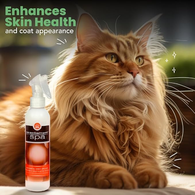 Best Shot Scentament Spa Botanical Body Splash, Detangler Spray, Body Spray for Pets, Cat and Dog Cologne Spray, Mandarin Jasmine Honey, 8 Oz.